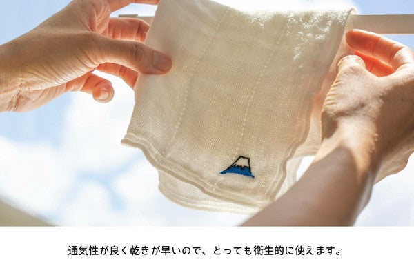 Mt. Fuji Dishcloth